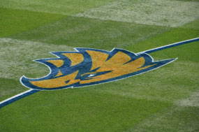 Eagles logo on the 'Hallowed Turf'