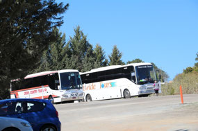 The tourist buses kept coming
