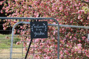 Welcome to Tulip Top Gardens