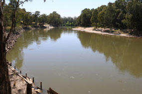 A walk along the edge of the Murrumbidgee