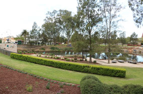 Wollundry Lagoon in the Cultural Precinct