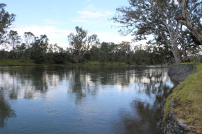 Start of Murray River at Albury
