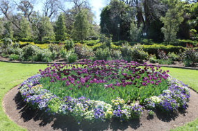 Beautiful gardens in Rosalind Park
