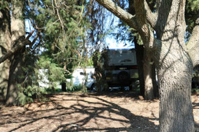 CV 7814 through the trees.