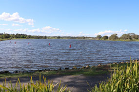 Lake Hamilton