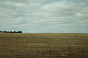 Barren land near Swan Reach
