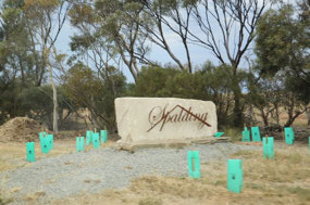 Beautifying town entrance sign