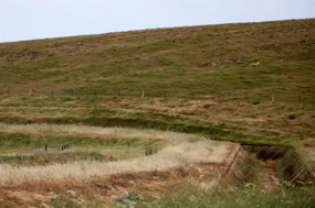 Concrete channels to catch water
