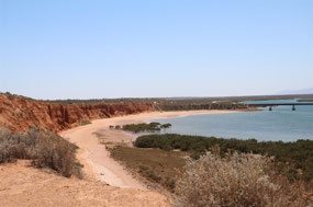 Matthew Flinders Lookout