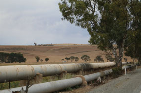 Pipeline from Morgan