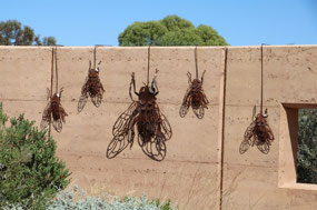 These are big flies on the wall