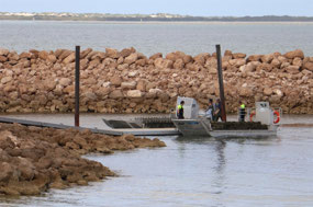 Oyster boats with today's catch