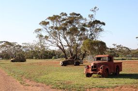 Old cars placed around the area