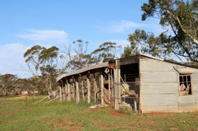 Shearing shed not been used for many years