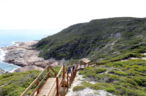 We climbed up all those steps