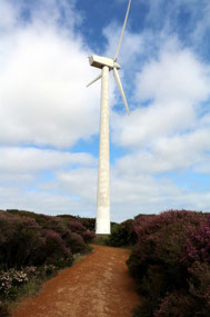 Ten Mile Lagoon Wind Farm turbine