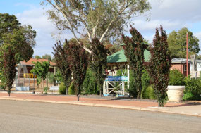 Community garden in Dumbleyung