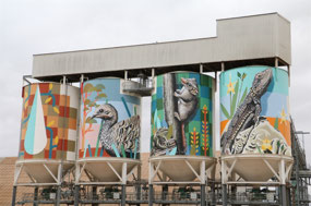Newdegate silo art