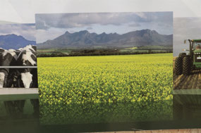 Nice photo to promote the ranges & Borden