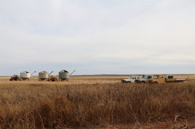 Is there enough vehicles here..
