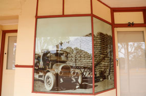 Morawa historic images on shop windows 