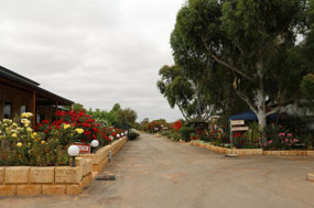 Nice gardens at Northam CP
