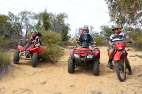 Photo shoot time on the wildflower track