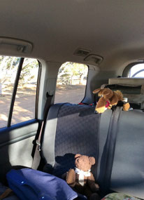 Our two little friends off travelling Oz too.
