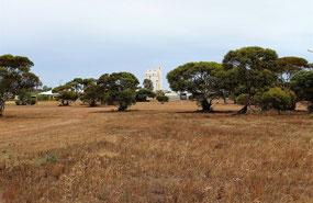 Penong Golf Course & town in background