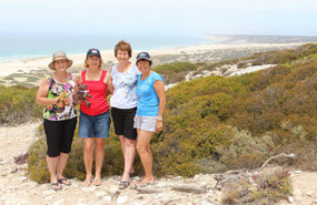 The Digi Chicks & the Great Australian Bight