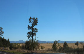 Warrumbungle Ranges
