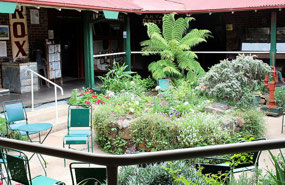Garden in centre of Beardies House