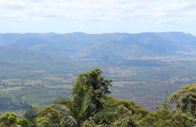 Beautiful views from top of mountain