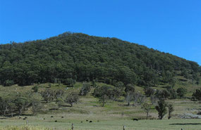 Leaving Glen Innes behind