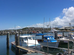 Marina at Coffs Harbour
