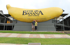 This is a 'BIG Banana'.