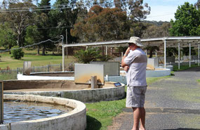 Studying the trout ponds