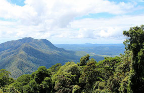 Views to the ocean from Dorrigo