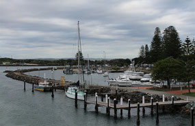 Forster