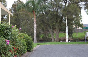 Flood waters in Tongarra Creek rose to 1.8 metres