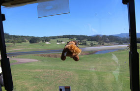 Look at that view Wally