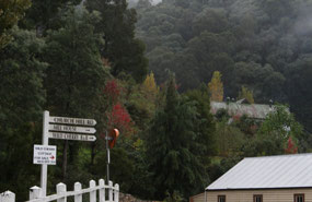 More autumn shades.  Very pretty at Walhalla