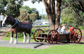Tourist attraction at Anglesea