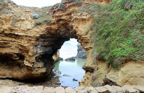 The Grotto