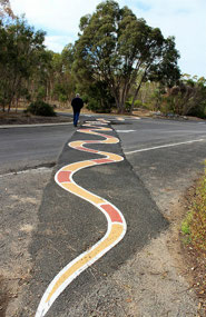 Wonambi Snake across the speed hump