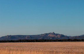 Beautiful Grampians severely burnt earlier in year