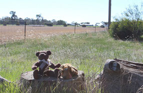 Wally & Clara enjoying the lunch stop
