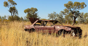 Photo shoot at morning tea stop