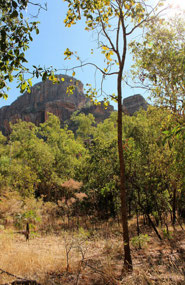 Nourlangie the site with lots of aboriginal art