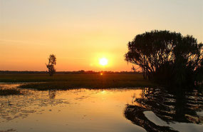 Sunset on Yellow River Billabong at Cooinda